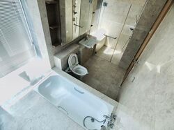 Soleil @ Sinaran (D11), Condominium #593556021